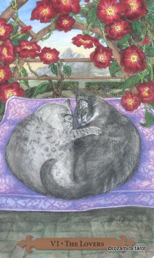 Mystical Cats Tarot